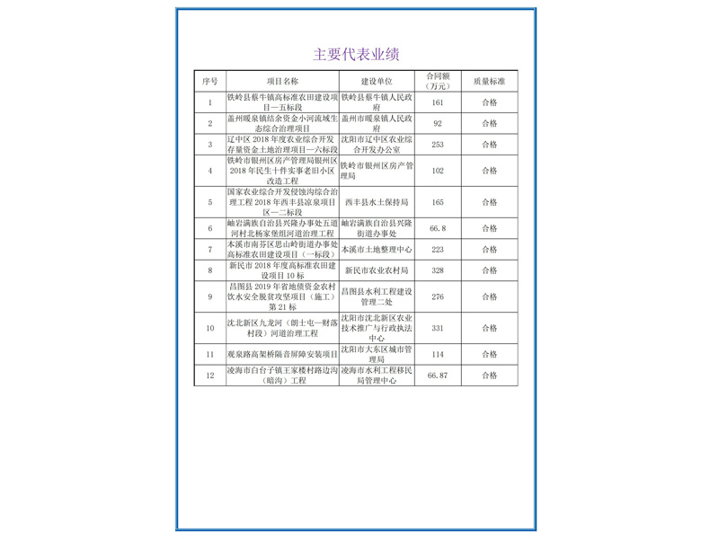 主要代表業(yè)績 (1)