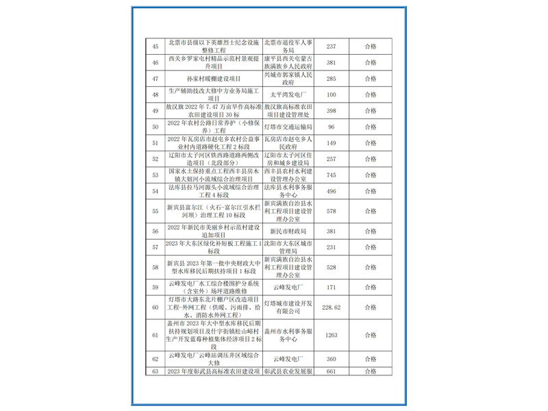 主要代表業(yè)績 (4)